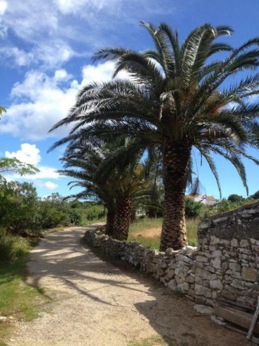 House Sakarun Villa Veli Rat Dış mekan fotoğraf